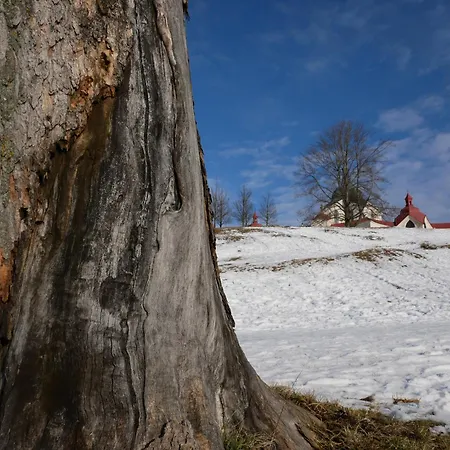 Sychrova Žďár nad Sázavou