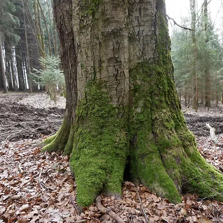 公寓 Sychrova Žďár nad Sázavou