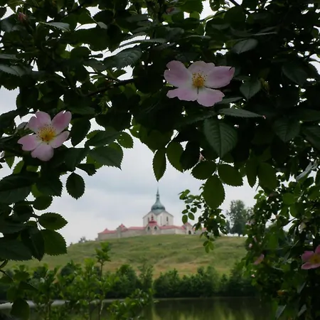 Sychrova Žďár nad Sázavou