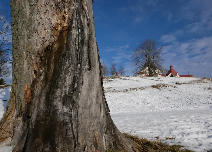 Sychrova Žďár nad Sázavou